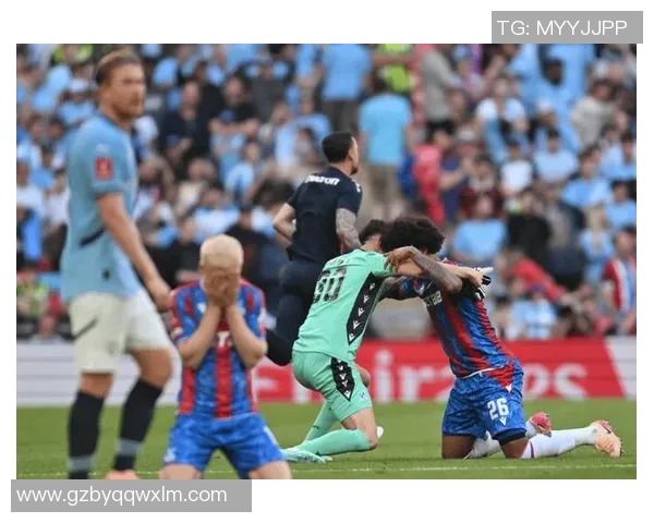 纽卡斯尔联与水晶宫历史交锋记录分析及战绩回顾